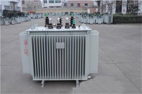 柳州S13-800KV油浸式变压器厂家